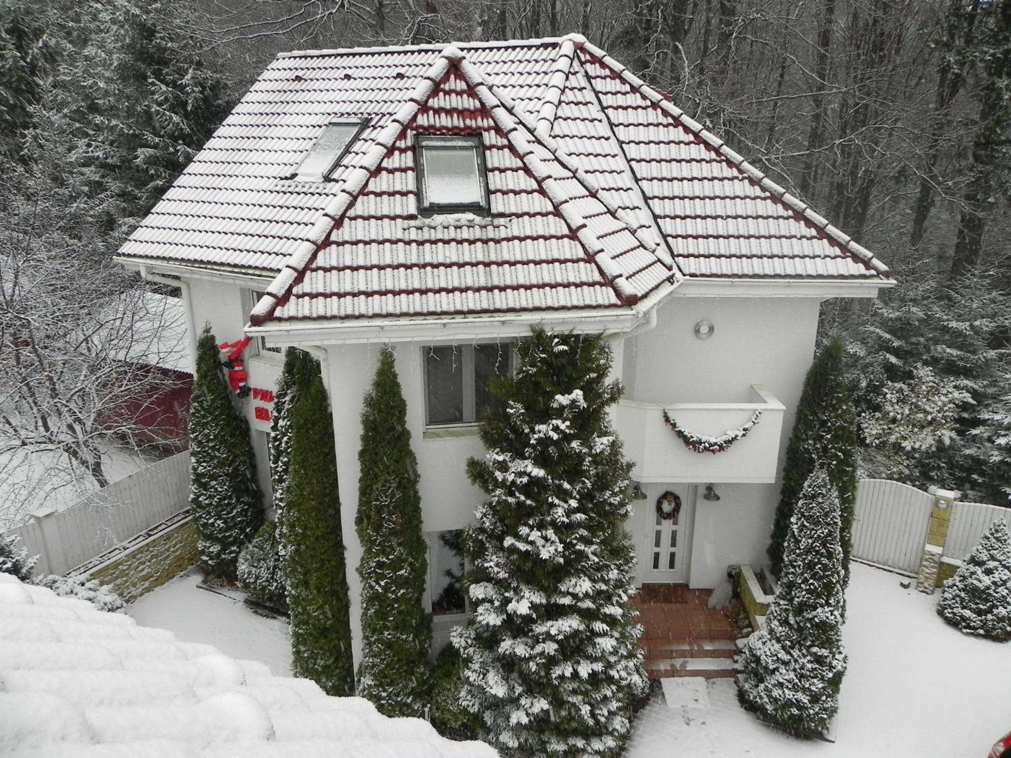 Boutique Hotel Forest Retreat (Adults Only) Busteni Luaran gambar