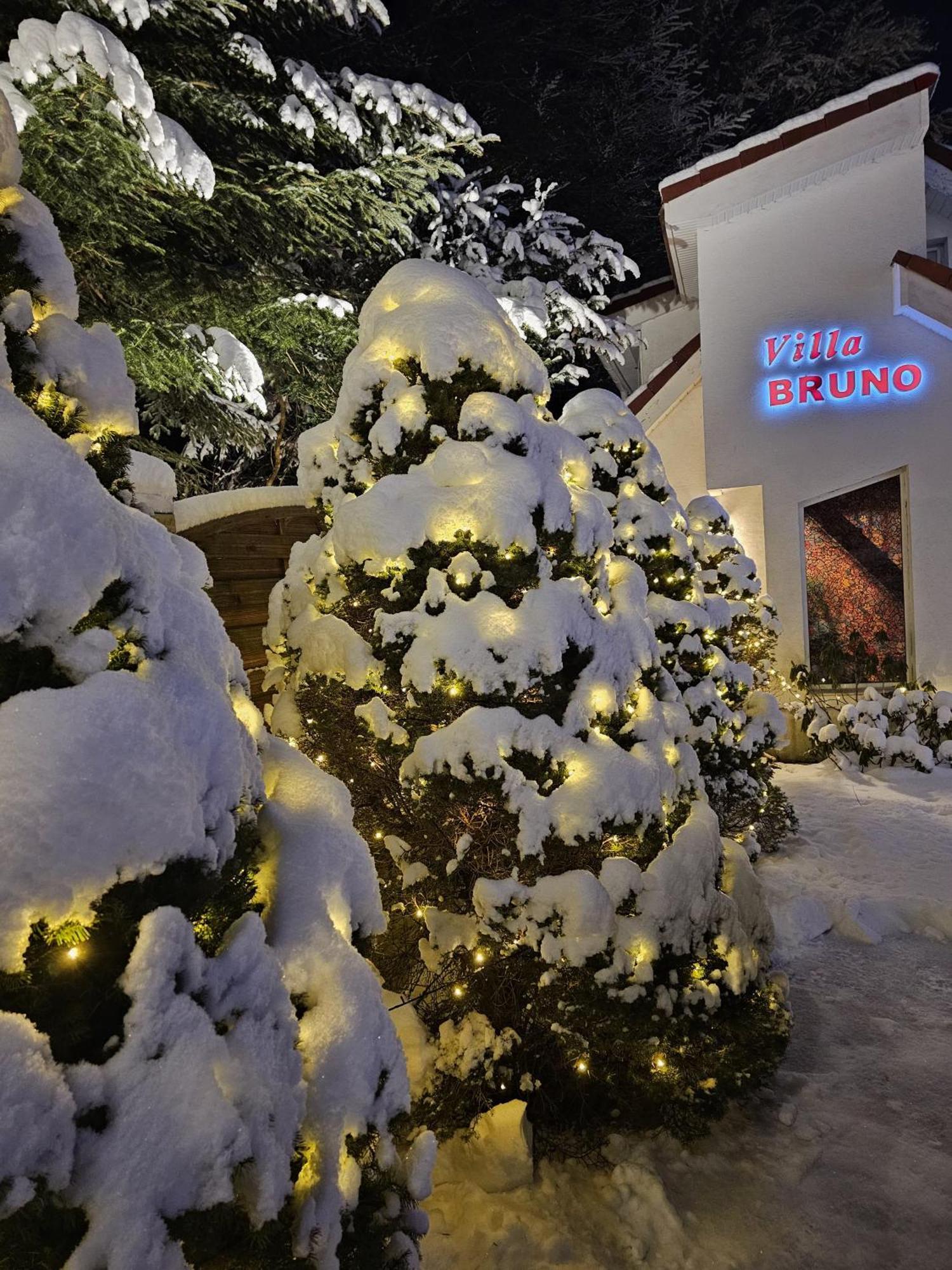 Boutique Hotel Forest Retreat (Adults Only) Busteni Luaran gambar