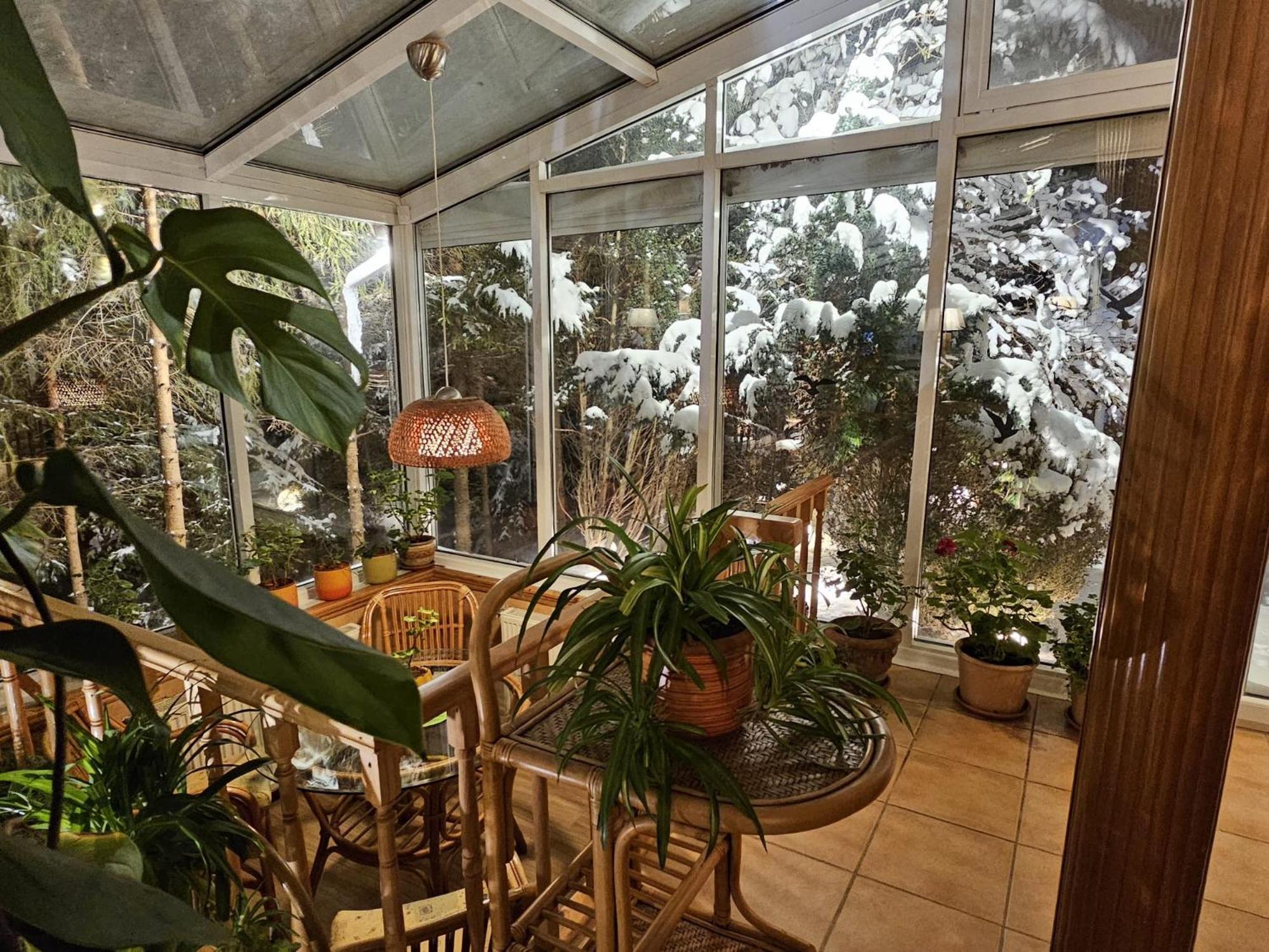 Boutique Hotel Forest Retreat (Adults Only) Busteni Luaran gambar